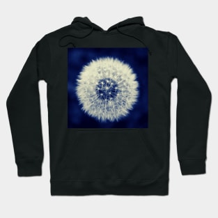 Dandelion Hoodie